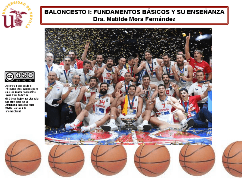 Miniatura del documento Tema-I.pdf