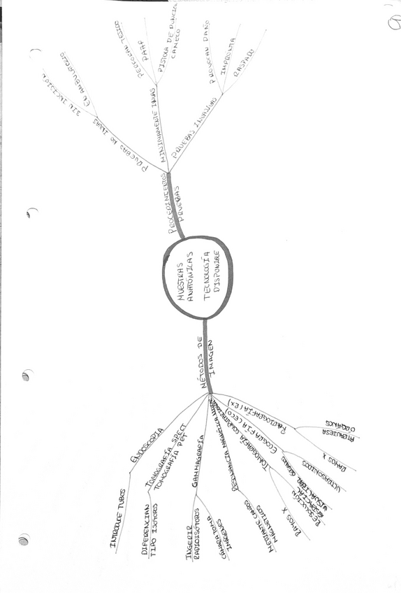 Miniatura del documento 5.pdf