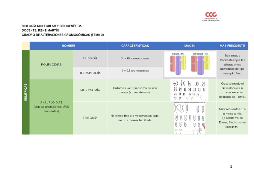 Miniatura del documento CUADRO-COMPARATIVO-ALTERACIONES-CROMOSOMICAS.pdf