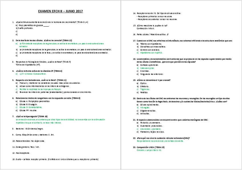 Miniatura del documento EFCH-II.pdf