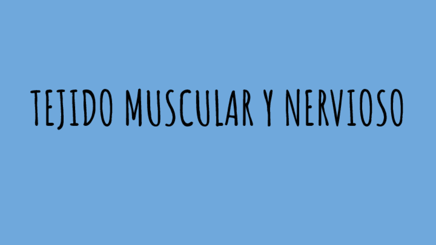 Miniatura del documento PRACTICA-4-TEJIDO-MUSCULAR-Y-NERVIOSO.pdf