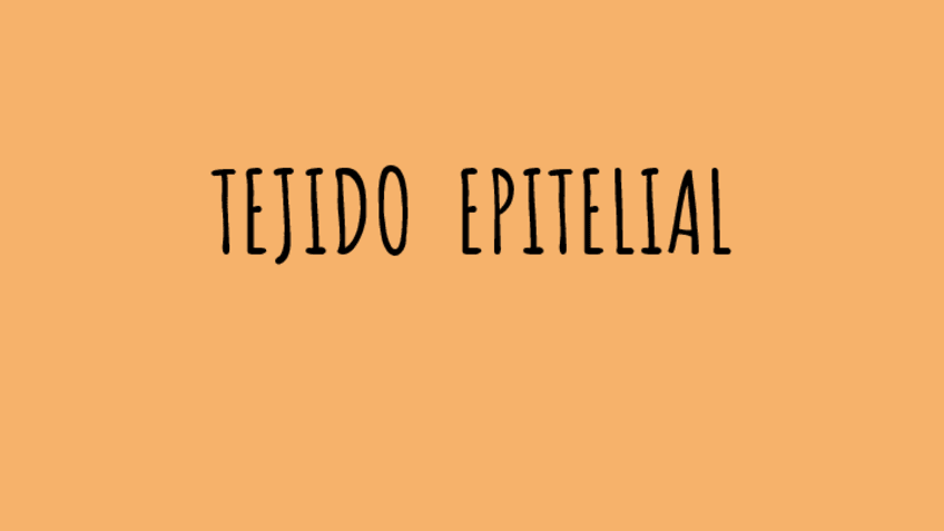 Miniatura del documento PRACTICA-1-TEJIDO-EPITELIAL.pdf