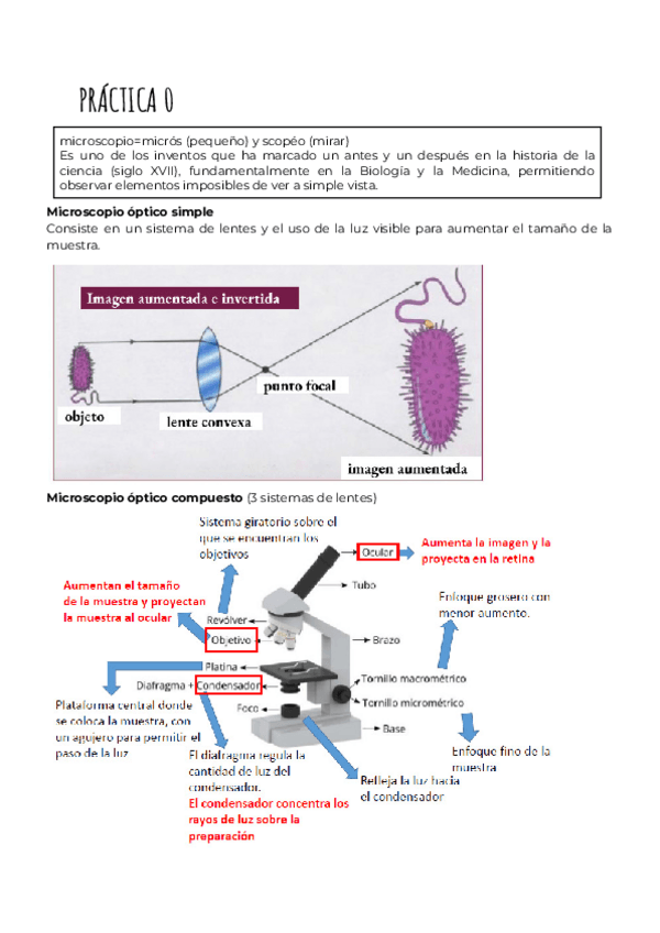 Miniatura del documento PRACTICA-0.pdf