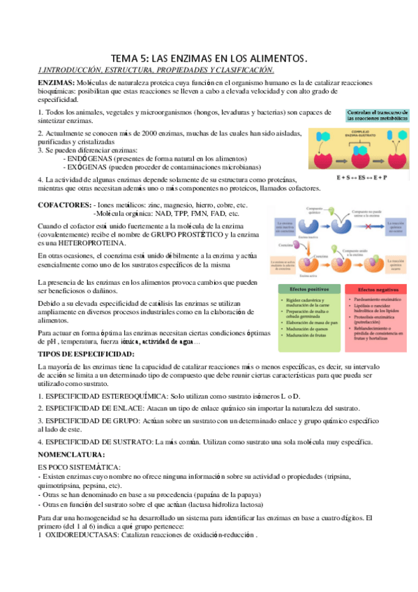 Miniatura del documento TEMA-5.pdf