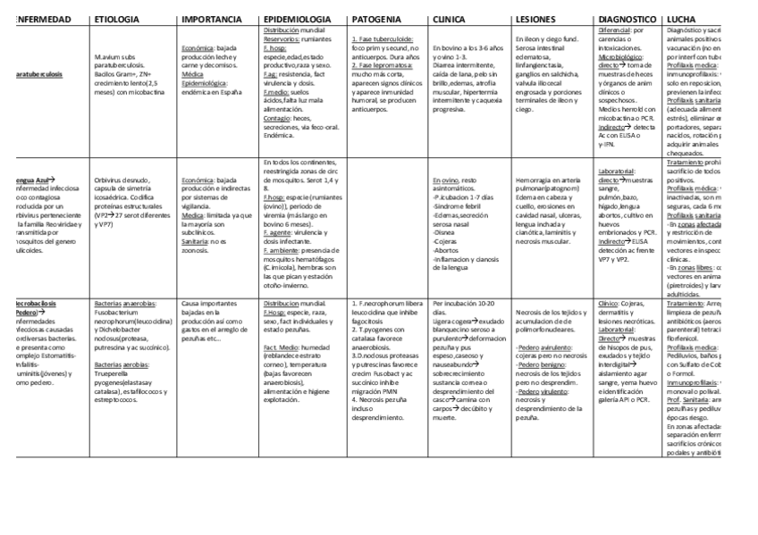 Miniatura del documento Cuadro-Enfermedades-Infecciosas-1o-Parcial.pdf