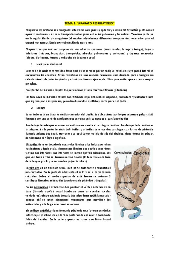 Miniatura del documento Bloque-3-Esplacnologia-Violeta-2021-2022.pdf