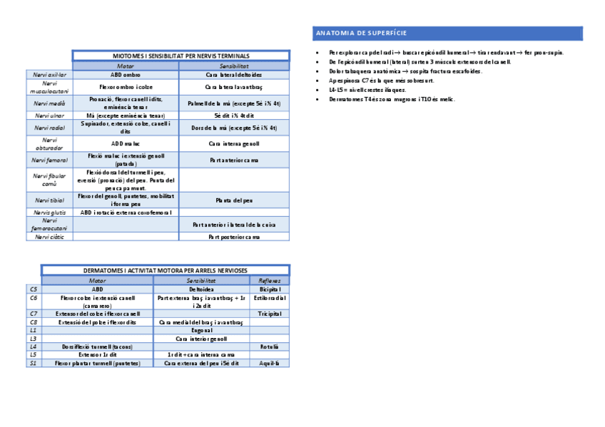 Miniatura del documento Coses-importants-resum-sirvent.pdf