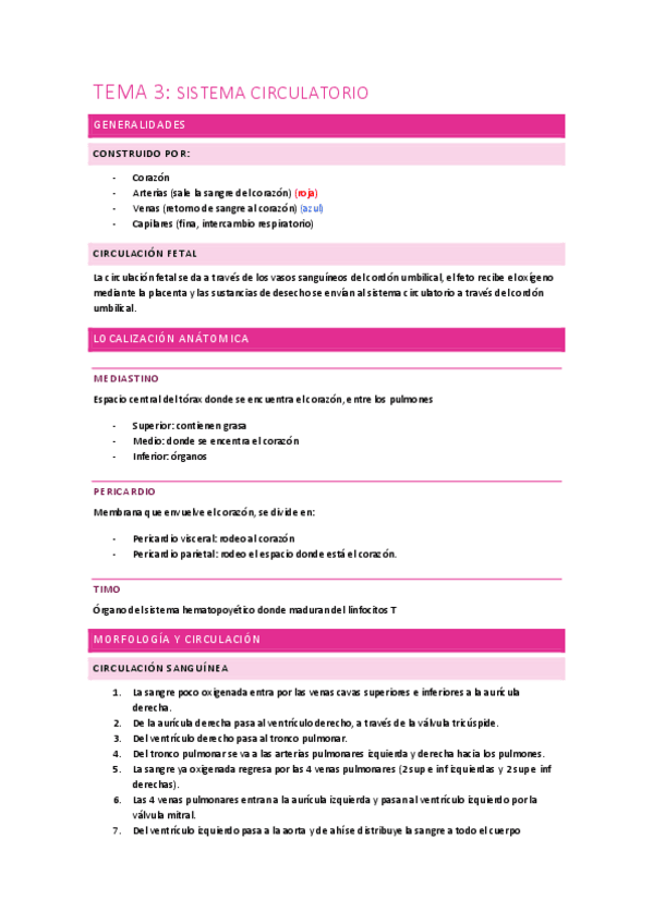 Miniatura del documento Anatomia-3.pdf