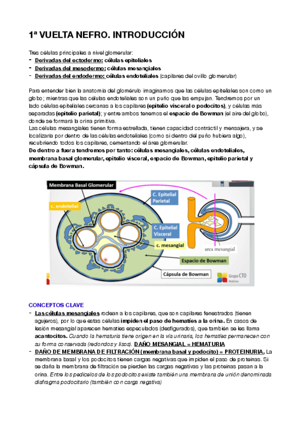 Miniatura del documento NEFRO-1V.pdf