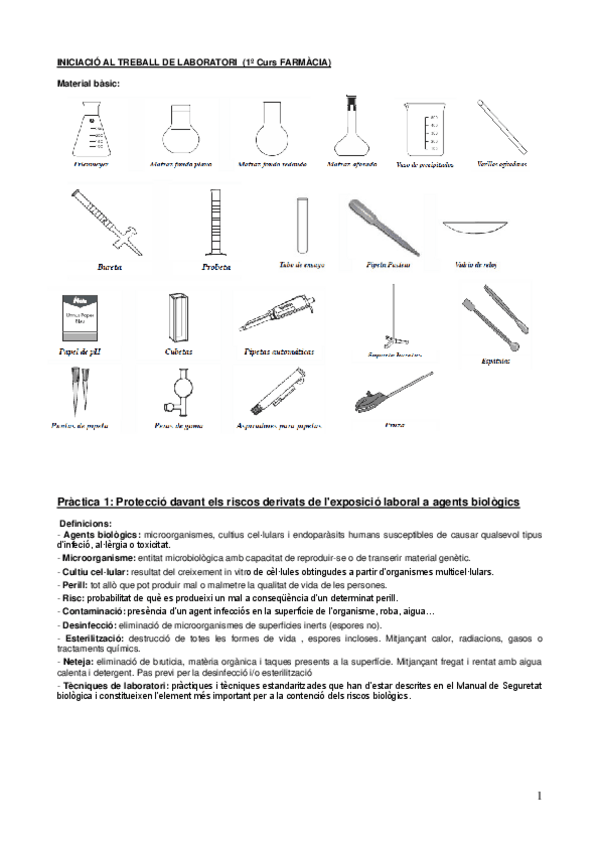 Miniatura del documento Resum-practiques-ITL.pdf