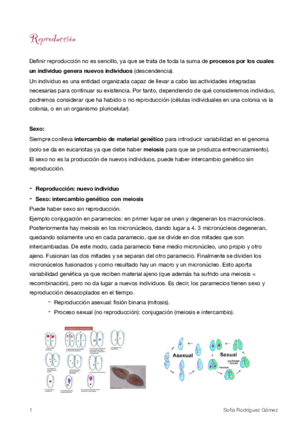 Miniatura del documento 1 Reproducción pdf