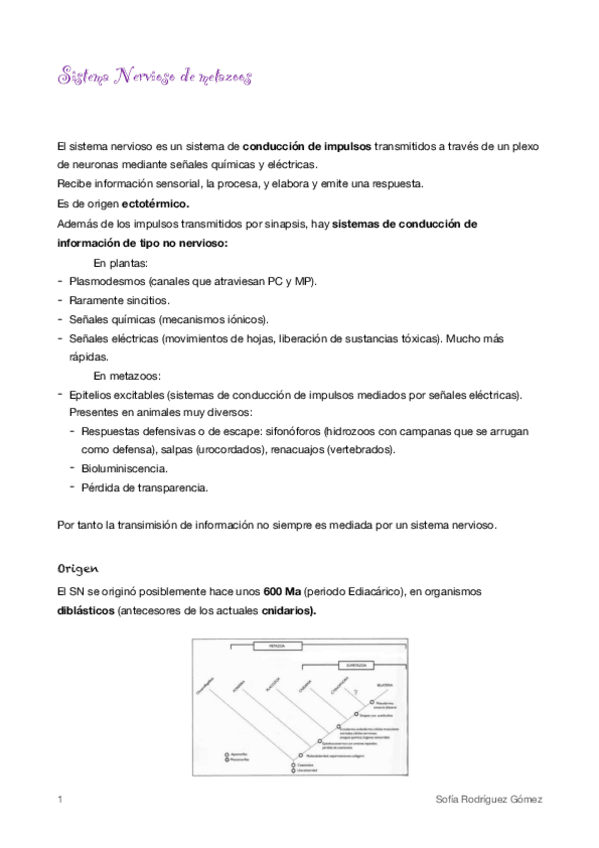 Miniatura del documento 7-Sistema-Nervioso.pdf