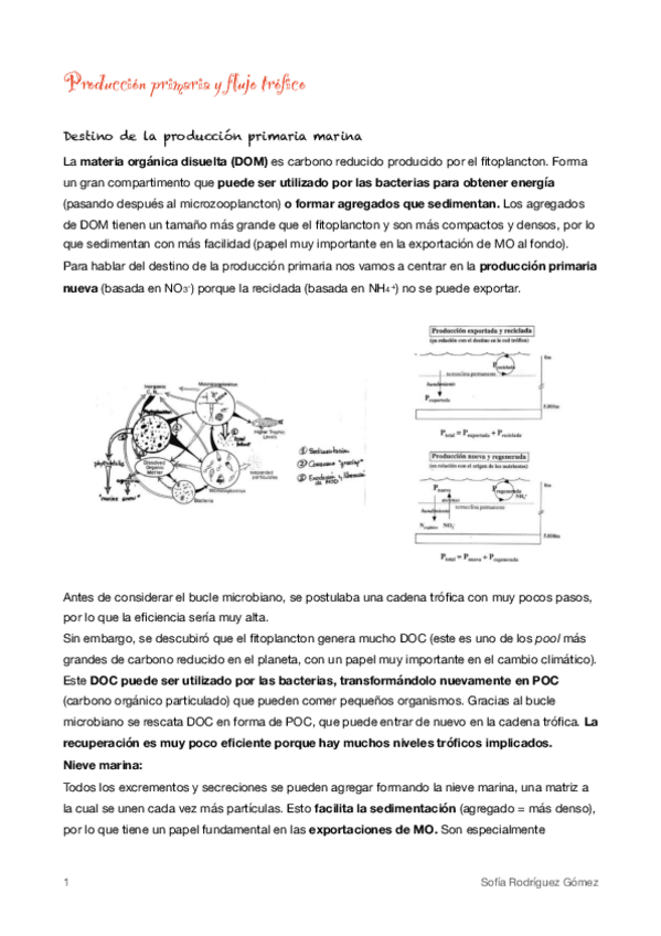 Miniatura del documento 7-Produccion-primaria-y-flujo-trofico.pdf