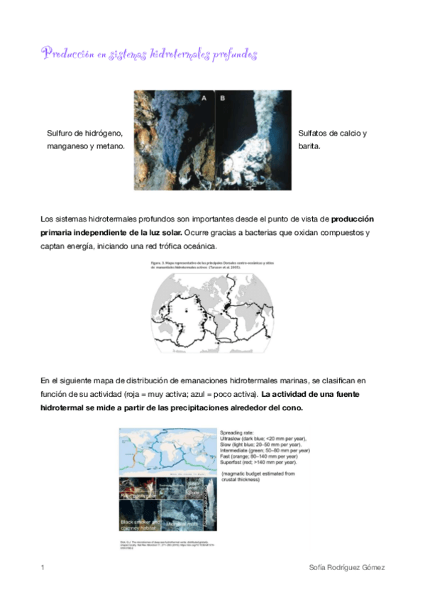 Miniatura del documento 6-Hidrotermales-profundos.pdf