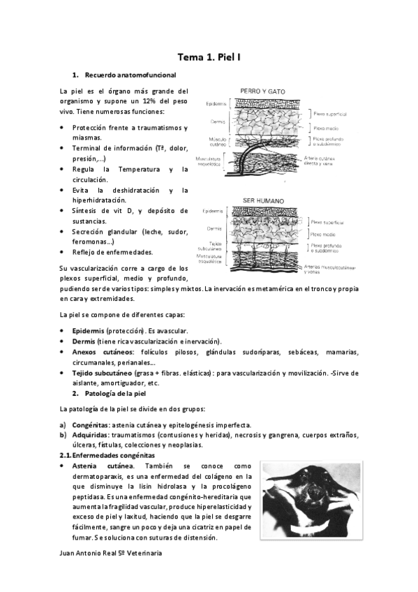 Miniatura del documento Tema-1.pdf