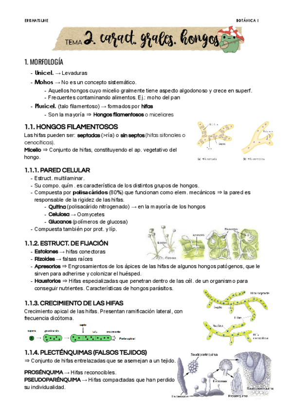 Miniatura del documento Tema-2.pdf