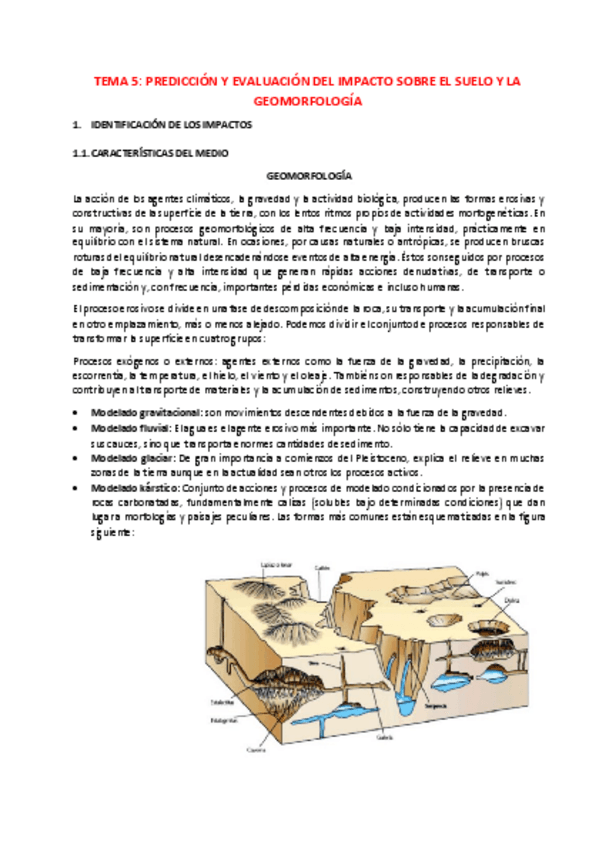 Miniatura del documento Tema-5.pdf