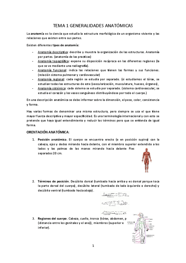 Miniatura del documento Apuntes-anatomia.pdf