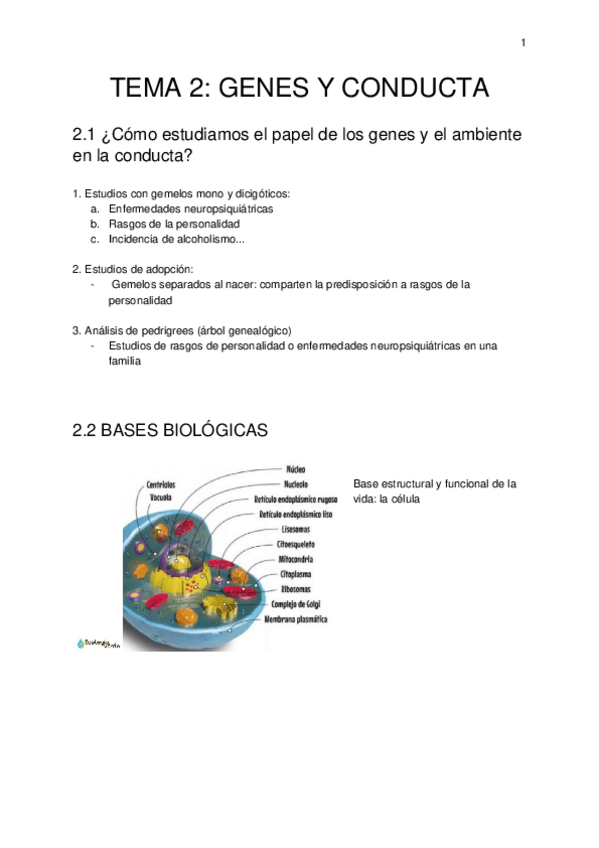 Miniatura del documento TEMA-2.docx