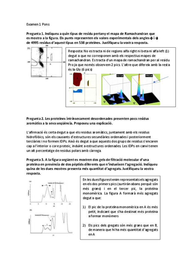 Miniatura del documento ExamensPonsRespostesIzanCabrerizo.pdf