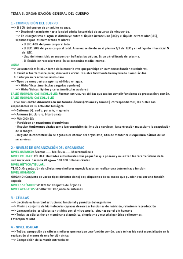 Miniatura del documento TEMA-2-ANATOMIA.pdf