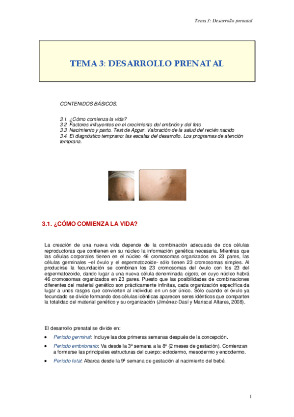 Miniatura del documento TEMA-3.pdf