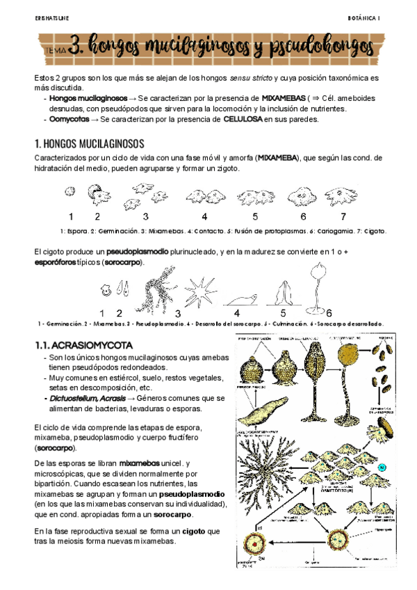 Miniatura del documento Tema-3.pdf