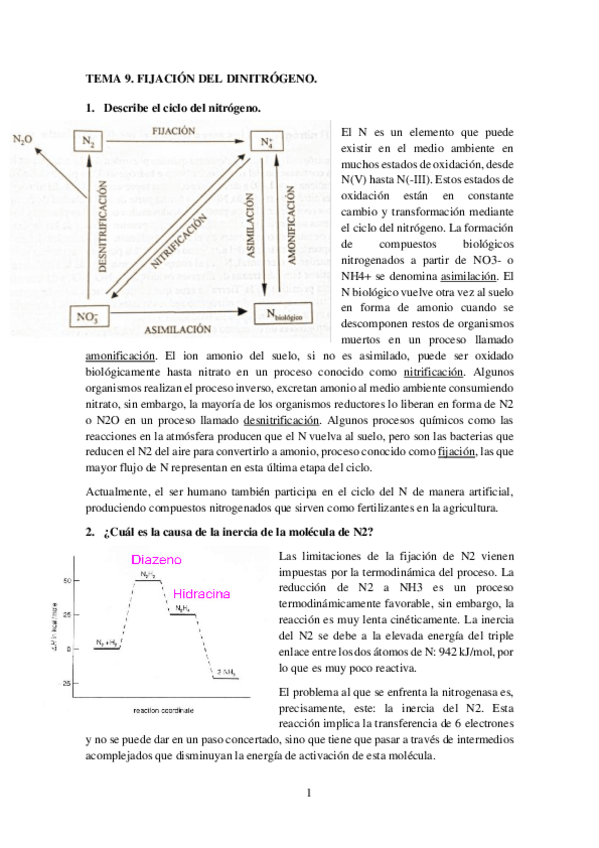Miniatura del documento Cuestiones-T9.pdf