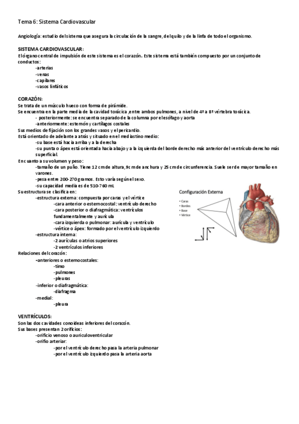 Miniatura del documento 6.pdf