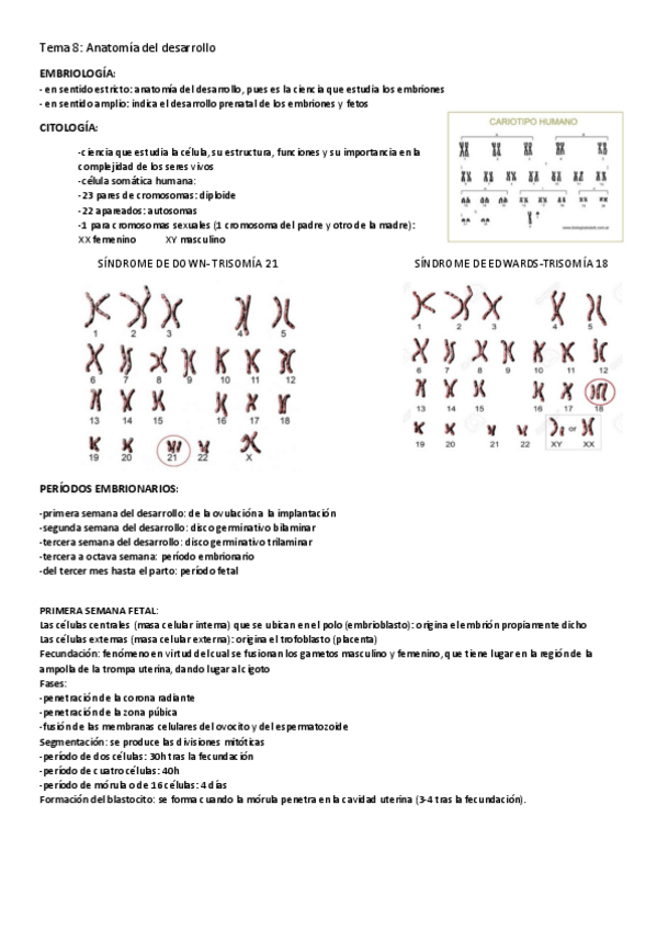 Miniatura del documento 8.pdf