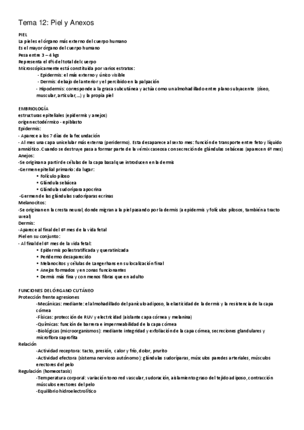 Miniatura del documento 12.pdf
