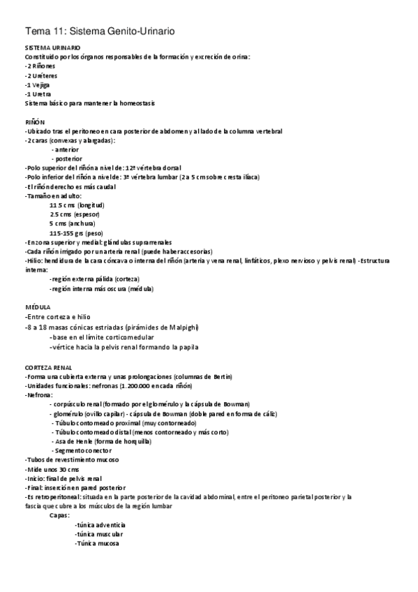 Miniatura del documento 11.pdf