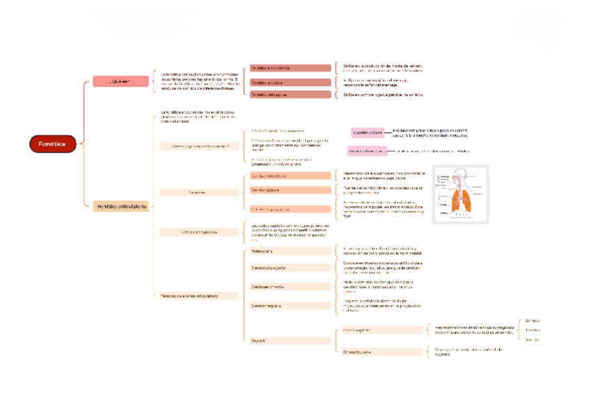 Miniatura del documento fonetica-y-fonologia-19-sept-22.pdf