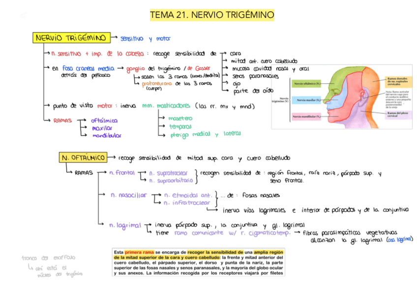Miniatura del documento Tema-21.pdf
