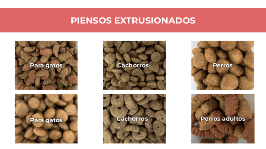 Miniatura del documento P1-NUTRI-1.pdf