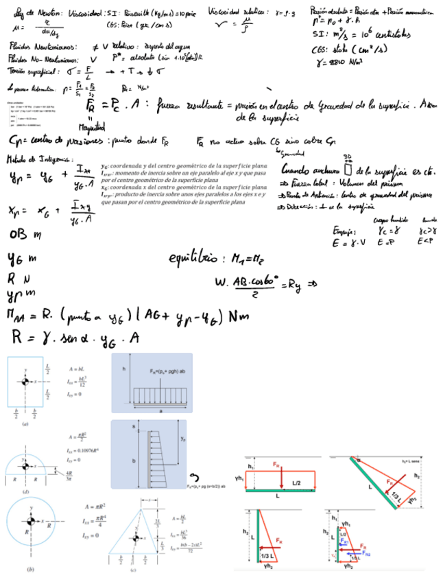 Miniatura del documento Formulario-acto-1.pdf