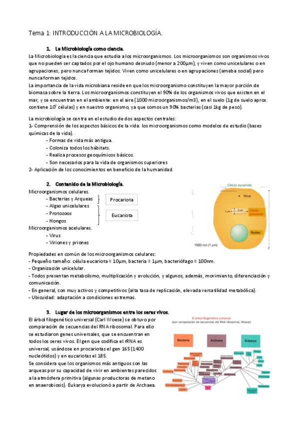 Miniatura del documento TEMA-1.pdf
