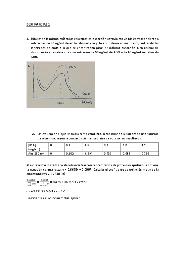 Miniatura del documento BEXI-PARCIAL-A.pdf