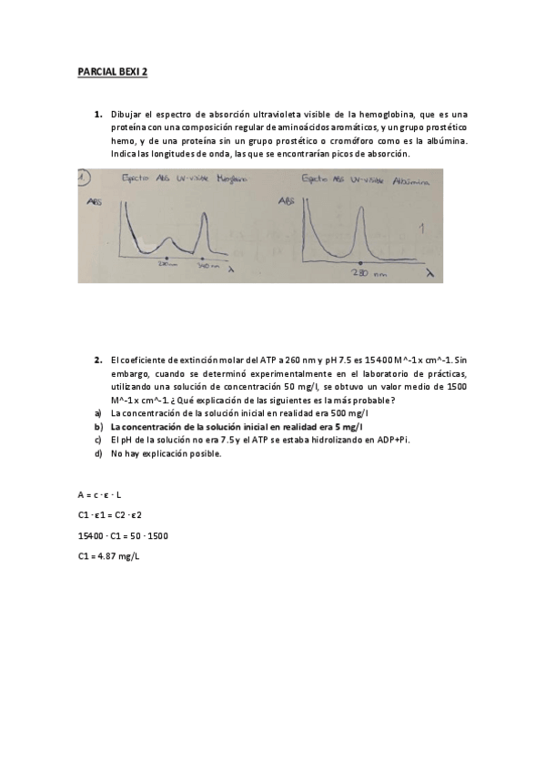 Miniatura del documento BEXI-PARCIAL-B.pdf