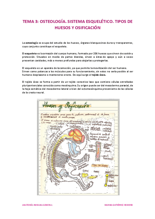 Miniatura del documento Tema 3.pdf