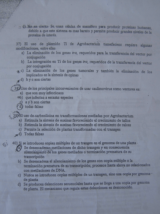 Miniatura del documento 5.pdf