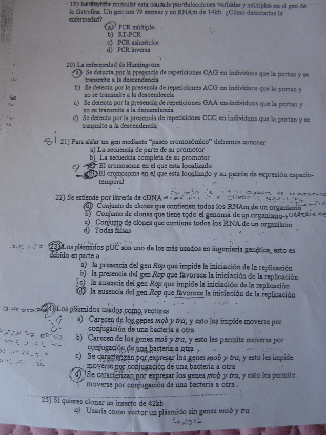 Miniatura del documento 2.pdf