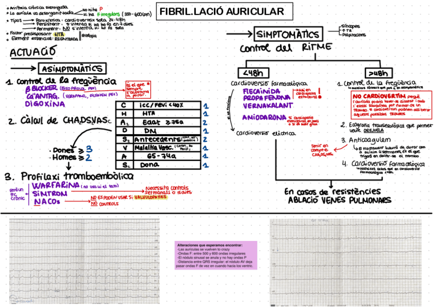 Miniatura del documento FA.pdf