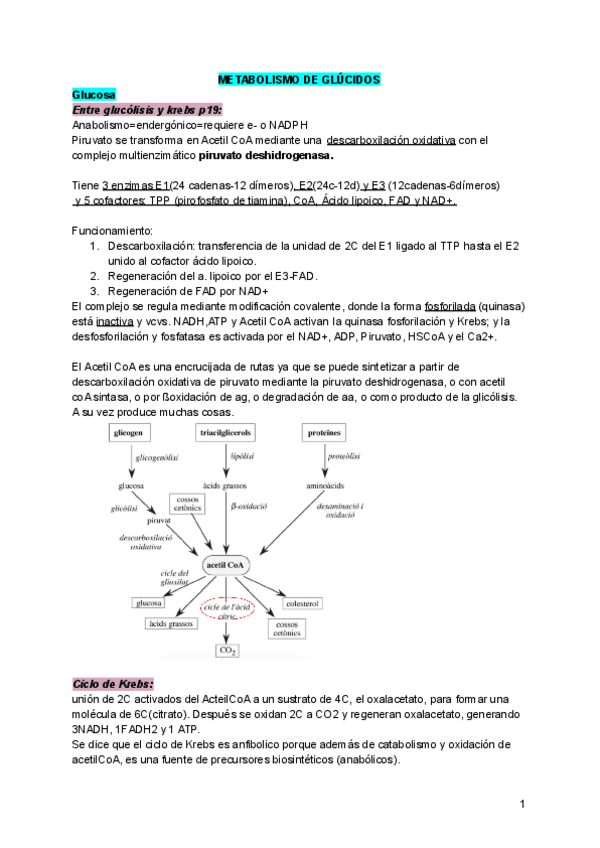 Miniatura del documento Temario-2o-cuatri-esquematizado.pdf