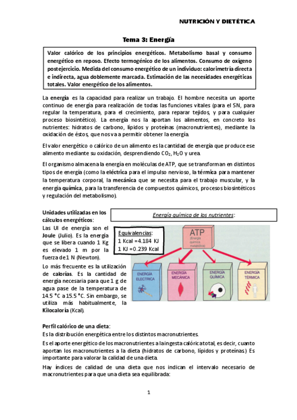 Miniatura del documento Tema-3-Energia.pdf
