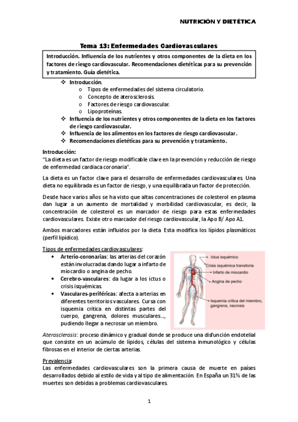 Miniatura del documento Tema-13-Enfermedades-cardiovasculares.pdf