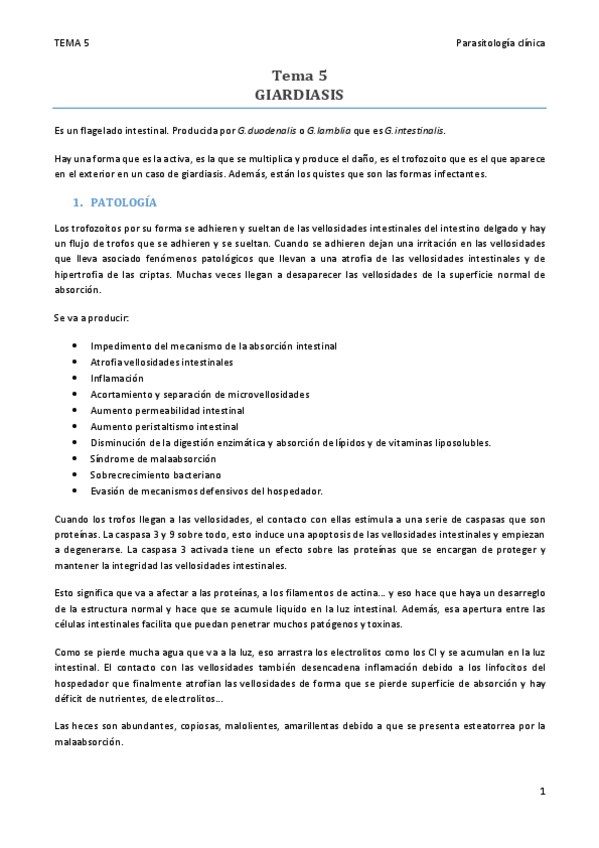 Miniatura del documento TEMA 5.pdf
