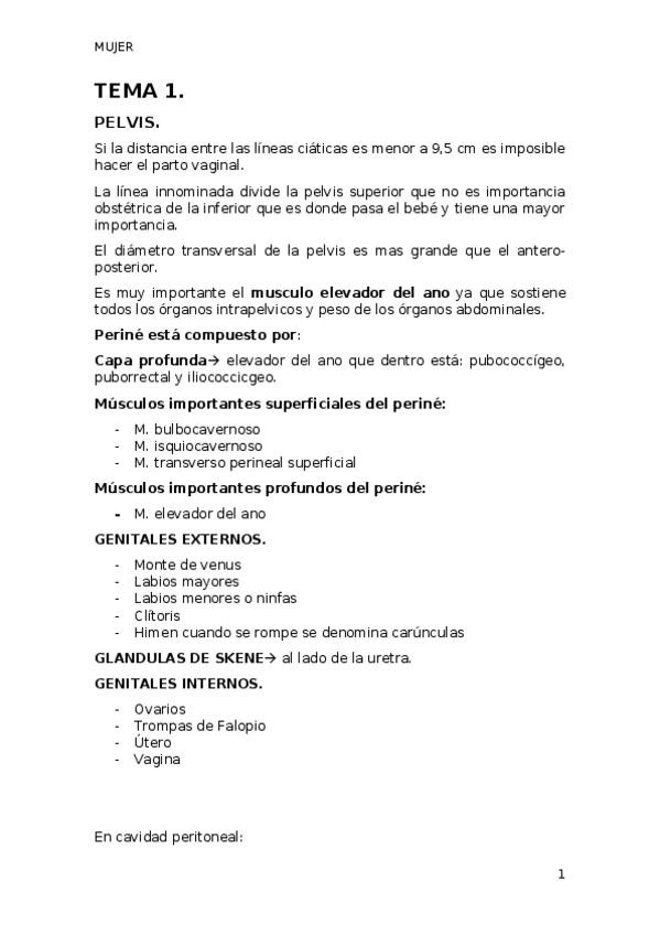 Miniatura del documento APUNTES-TEMA-1.docx