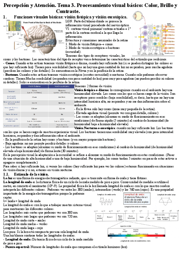 Miniatura del documento Percepcion-y-Atencion.pdf