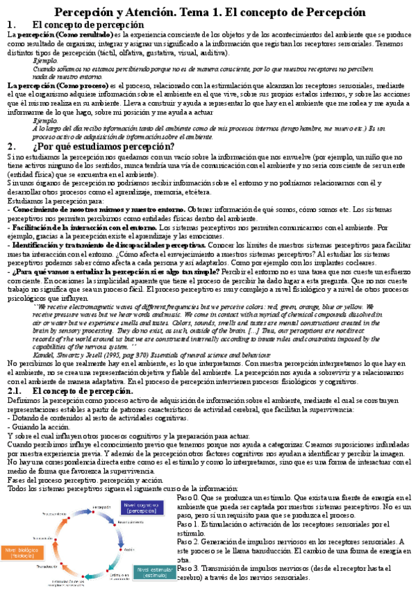 Miniatura del documento Percepcion-y-Atencion.pdf